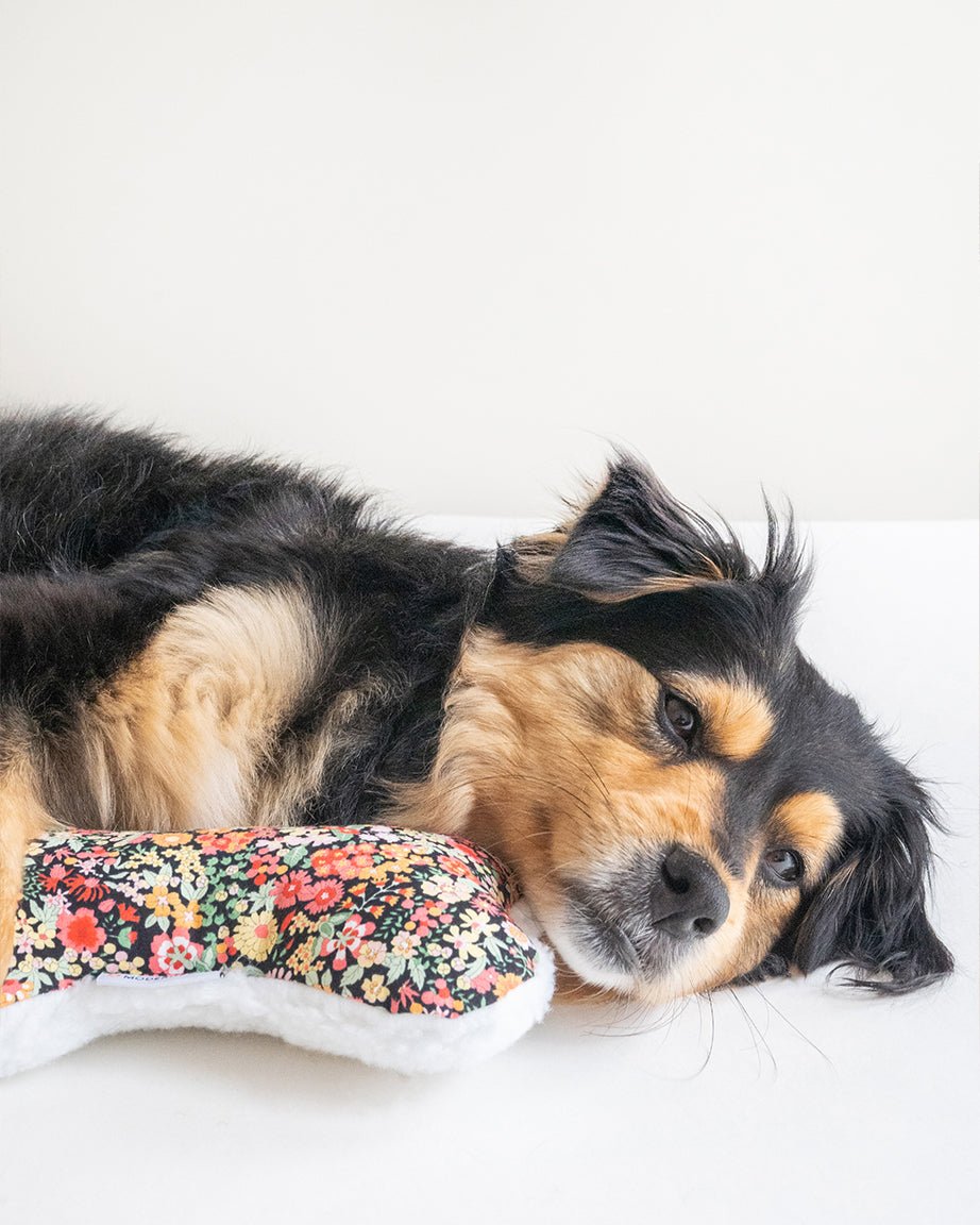 Lavender Zenbone Plush Squeaky Dog Toy – Dog Toys by MODERNBEAST