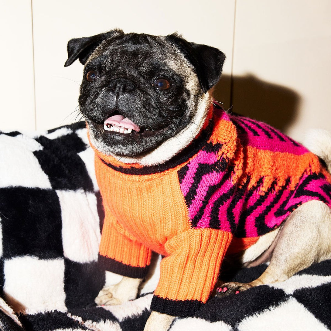 Lil Baddie Knit Dog Sweater. – Sweaters & Hoodies by JUST FRED.