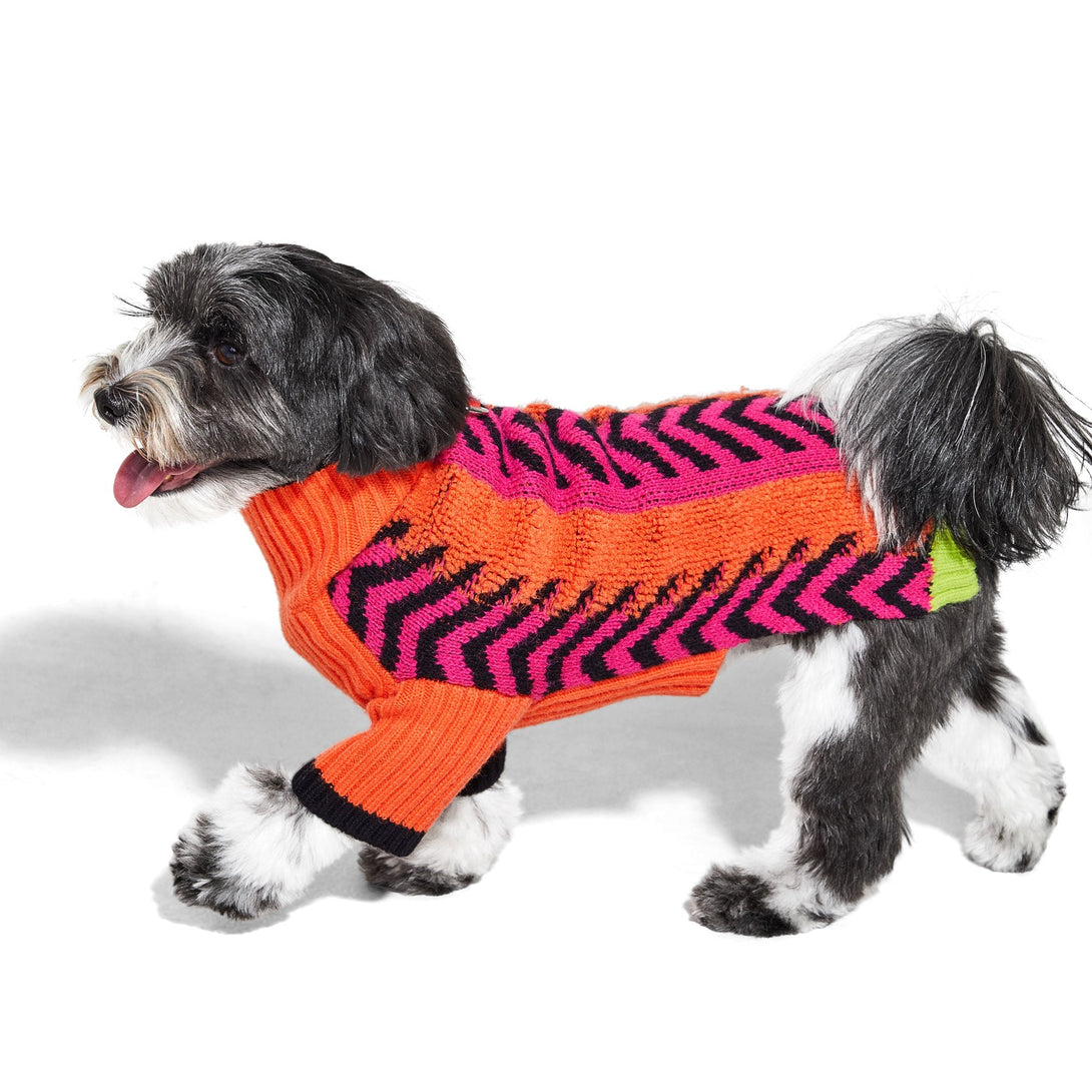 Lil Baddie Knit Dog Sweater. – Sweaters & Hoodies by JUST FRED.