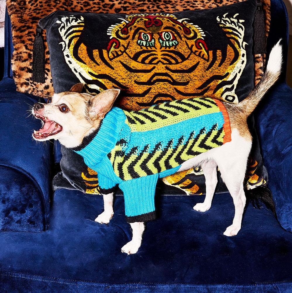Lil Baddie Knit Dog Sweater. – Sweaters & Hoodies by JUST FRED.