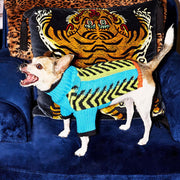 Lil Baddie Knit Dog Sweater. – Sweaters & Hoodies by JUST FRED.