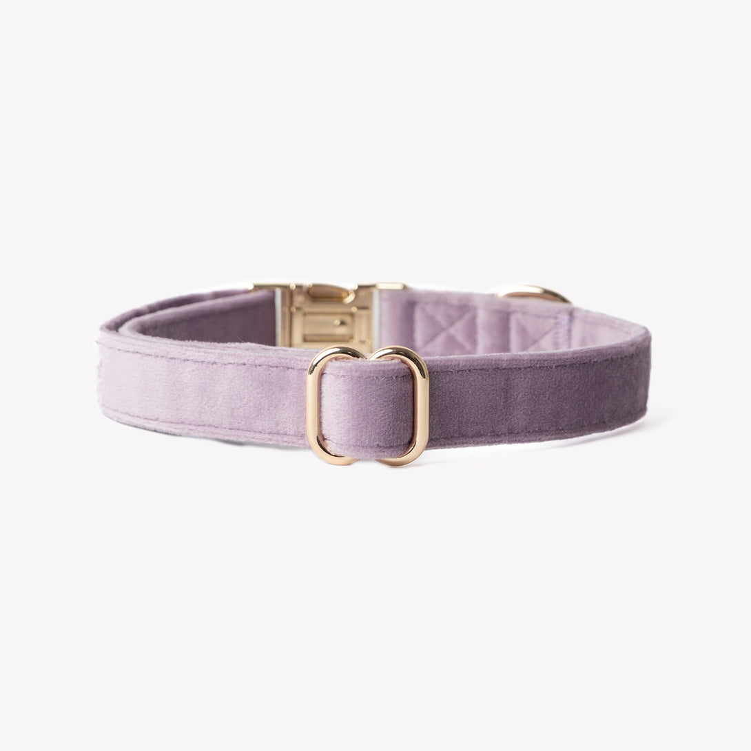 Lilac - Velvet Dog Collar – Dog Collars by FURLOU