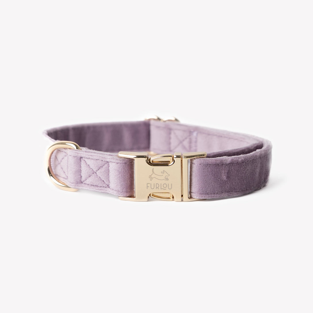 Lilac - Velvet Dog Collar – Dog Collars by FURLOU