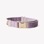 Lilac - Velvet Dog Collar – Dog Collars by FURLOU