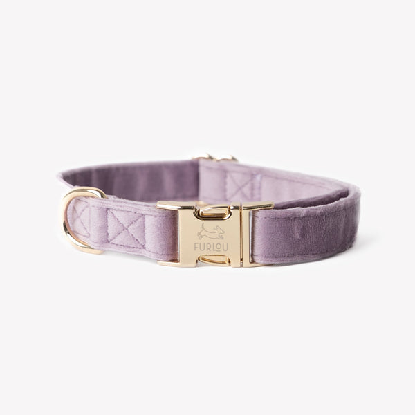 Lilac - Velvet Dog Collar – Dog Collars by FURLOU