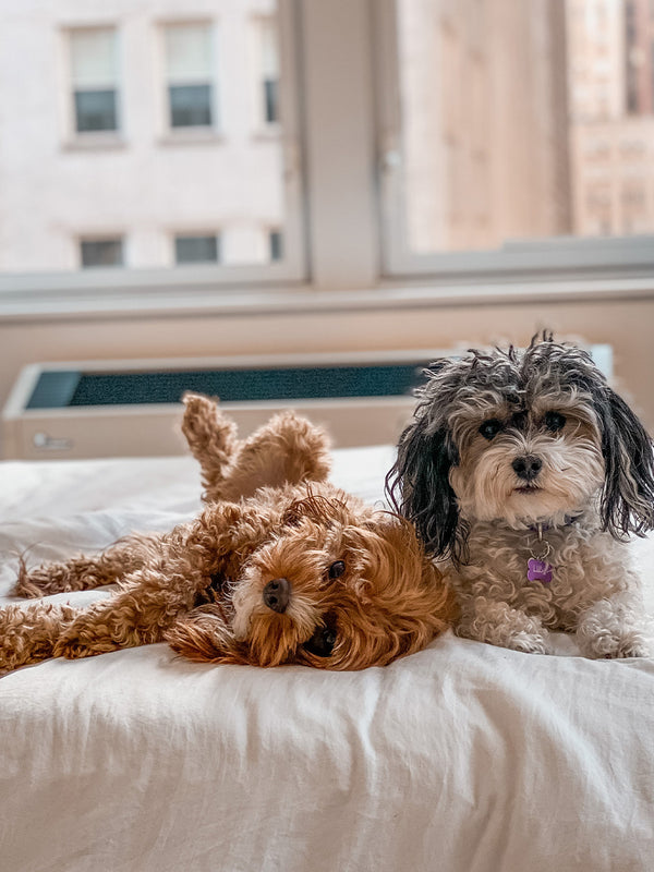 Lucy and Nelly