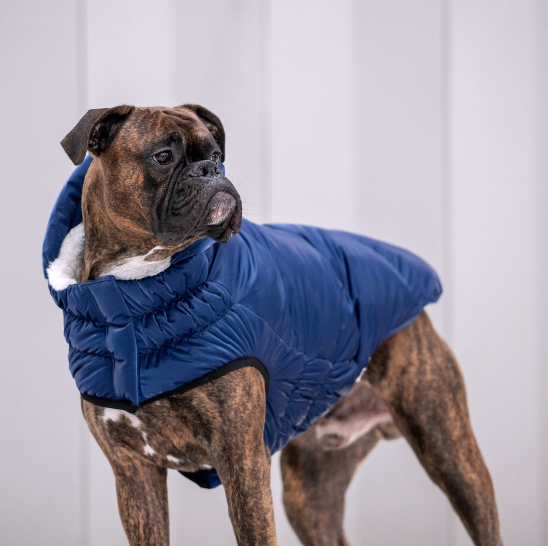 Lunar Glow Dog Parka Coat – Jackets & Coats by GF Pet.us