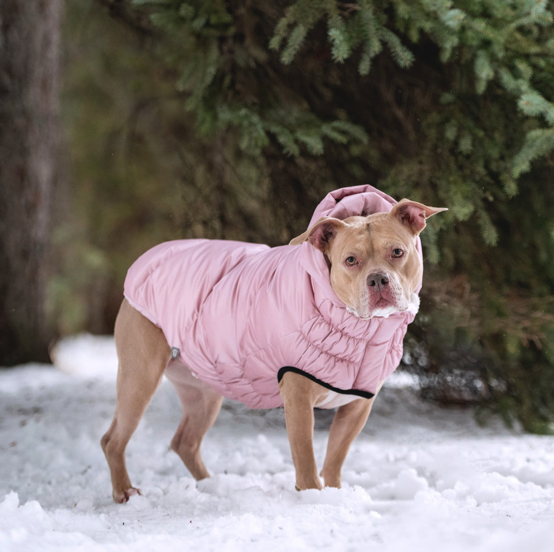 Lunar Glow Dog Parka Coat – Jackets & Coats by GF Pet.us