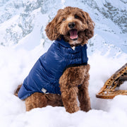 Lunar Glow Dog Parka Coat – Jackets & Coats by GF Pet.us