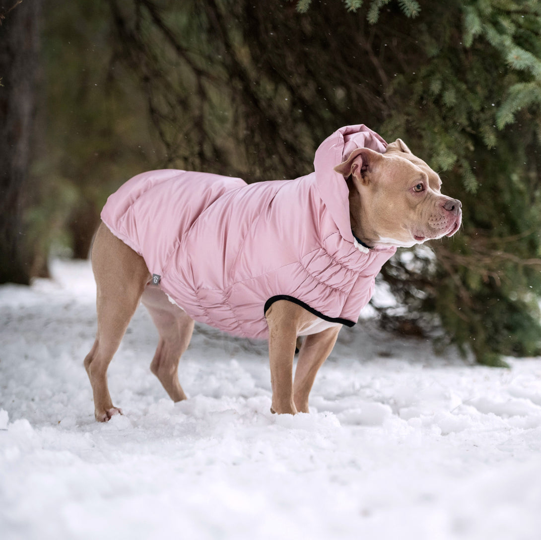 Lunar Glow Dog Parka Coat – Jackets & Coats by GF Pet.us