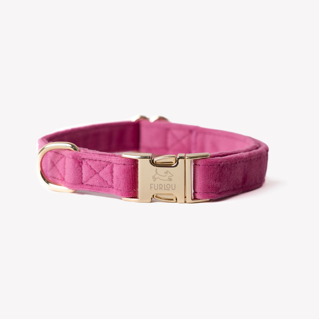 Magenta - Velvet Dog Collar – Dog Collars by FURLOU