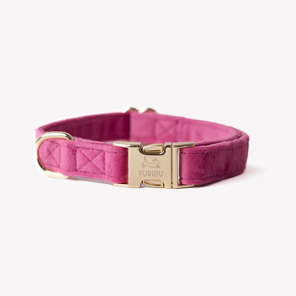 Magenta - Velvet Dog Collar – Dog Collars by FURLOU