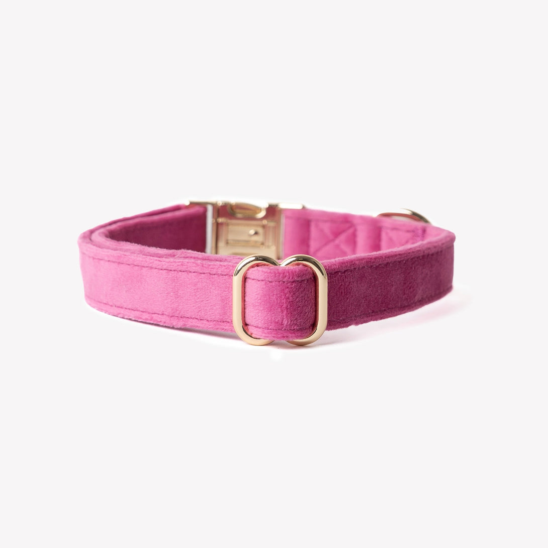 Magenta - Velvet Dog Collar – Dog Collars by FURLOU