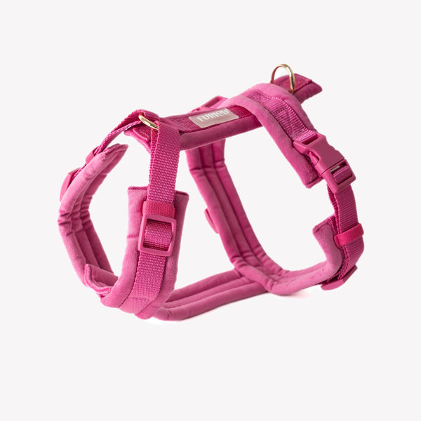 Magenta - Velvet Dog Harness – Dog Harnesses by FURLOU