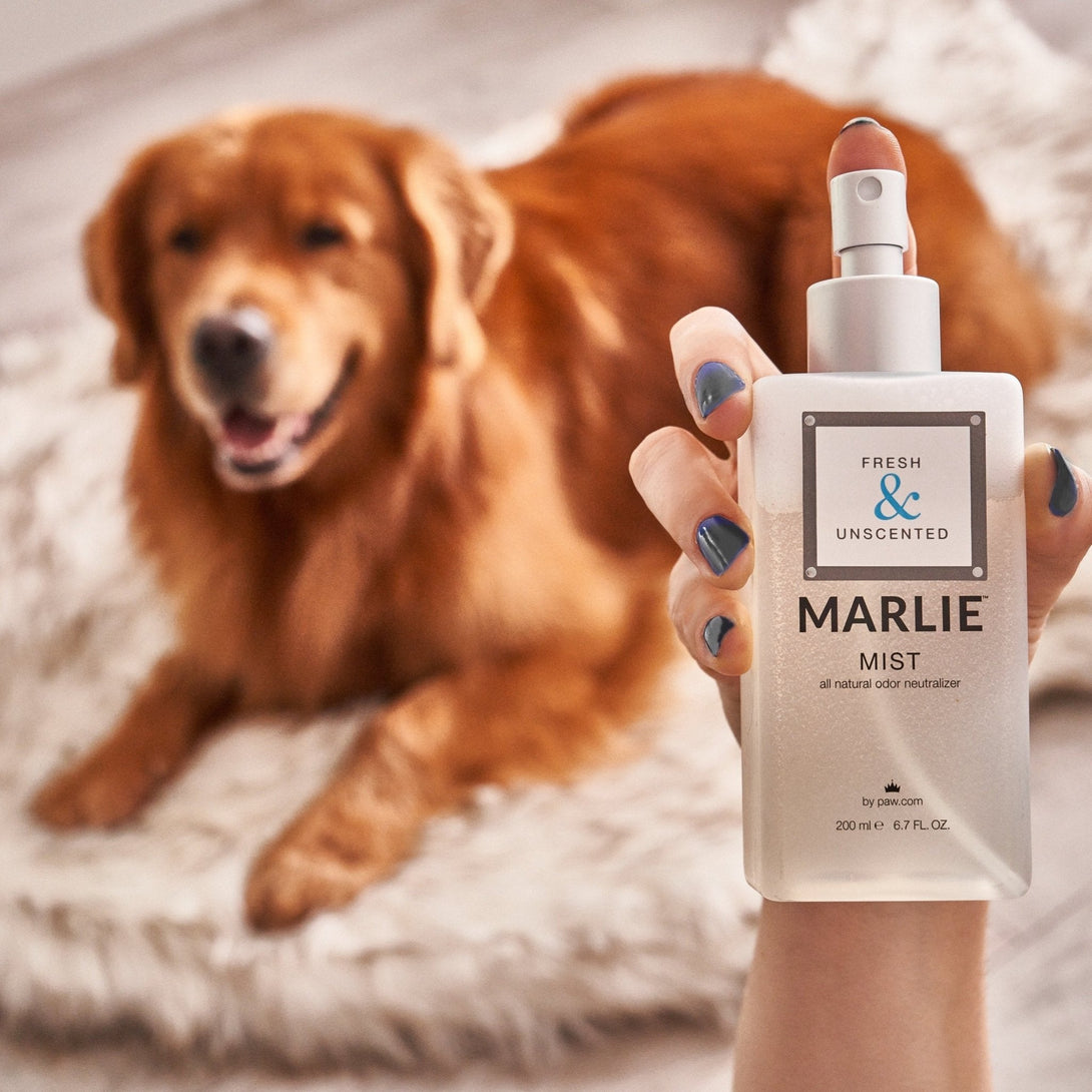 Marlie Mist Pet Odor Eliminator Spray with Essential Oils – Fragrance & Deodorizing by Paw.com