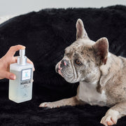 Marlie Mist Pet Odor Eliminator Spray with Essential Oils – Fragrance & Deodorizing by Paw.com