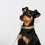 martingale dog collar / leopard + peach – Dog Collars by Major Darling