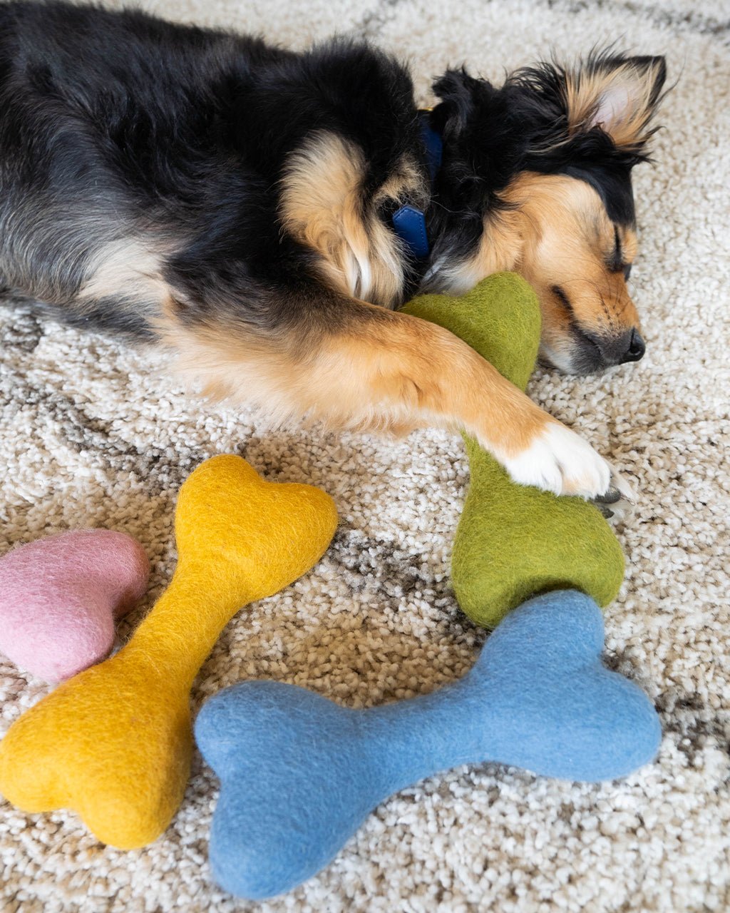 MB Woolbone Wool Dog Toy - Bright Colors – Dog Toys by MODERNBEAST