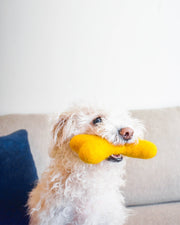 MB Woolbone Wool Dog Toy - Bright Colors – Dog Toys by MODERNBEAST