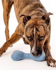 MB Woolbone Wool Dog Toy - Bright Colors – Dog Toys by MODERNBEAST