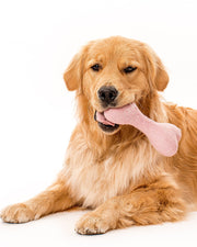 MB Woolbone Wool Dog Toy - Bright Colors – Dog Toys by MODERNBEAST
