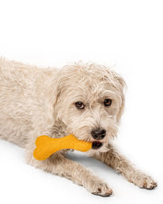 MB Woolbone Wool Dog Toy - Bright Colors – Dog Toys by MODERNBEAST