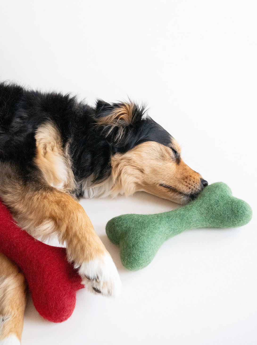 MB Woolbone Wool Dog Toy – Dog Toys by MODERNBEAST