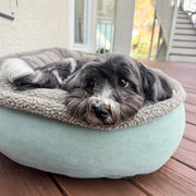 Microfiber Comfy Cup Bolster Dog Bed – Dog Beds by Carolina Pet Co.