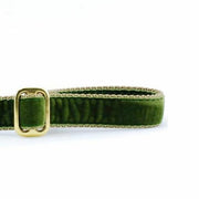 Moss Green Velvet Dog Leash – Dog Leashes by 2 Hounds Design