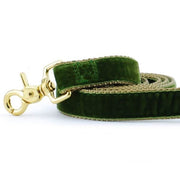 Moss Green Velvet Dog Leash – Dog Leashes by 2 Hounds Design