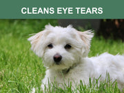 Naturals Plant Based, Flushable, Compostable, Unscented Pet Wipes, 160 Count, Larger 8x6" Size – Dog Cleaning & Potty by Mr. Peanut's Pet Carriers