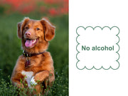 Naturals Plant Based, Flushable, Compostable, Unscented Pet Wipes, 160 Count, Larger 8x6" Size – Dog Cleaning & Potty by Mr. Peanut's Pet Carriers