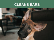 Naturals Plant Based, Flushable, Compostable, Unscented Pet Wipes, 160 Count, Larger 8x6" Size – Dog Cleaning & Potty by Mr. Peanut's Pet Carriers