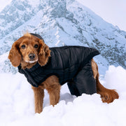 Odysey Dog Snowsuit - Black – Jackets & Coats by GF Pet.us