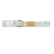 Oopsie Daisy! Dog Collar – Dog Collars by EverWoof
