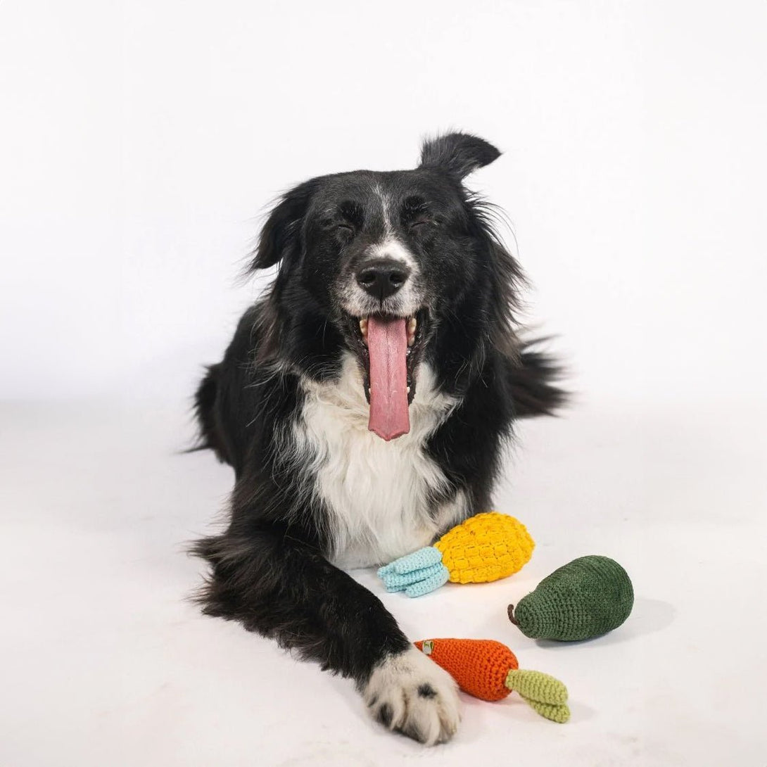 Organic Veggie Dog Toys Bundle – Bundles by Nina Woof