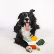 Organic Veggie Dog Toys Bundle – Bundles by Nina Woof