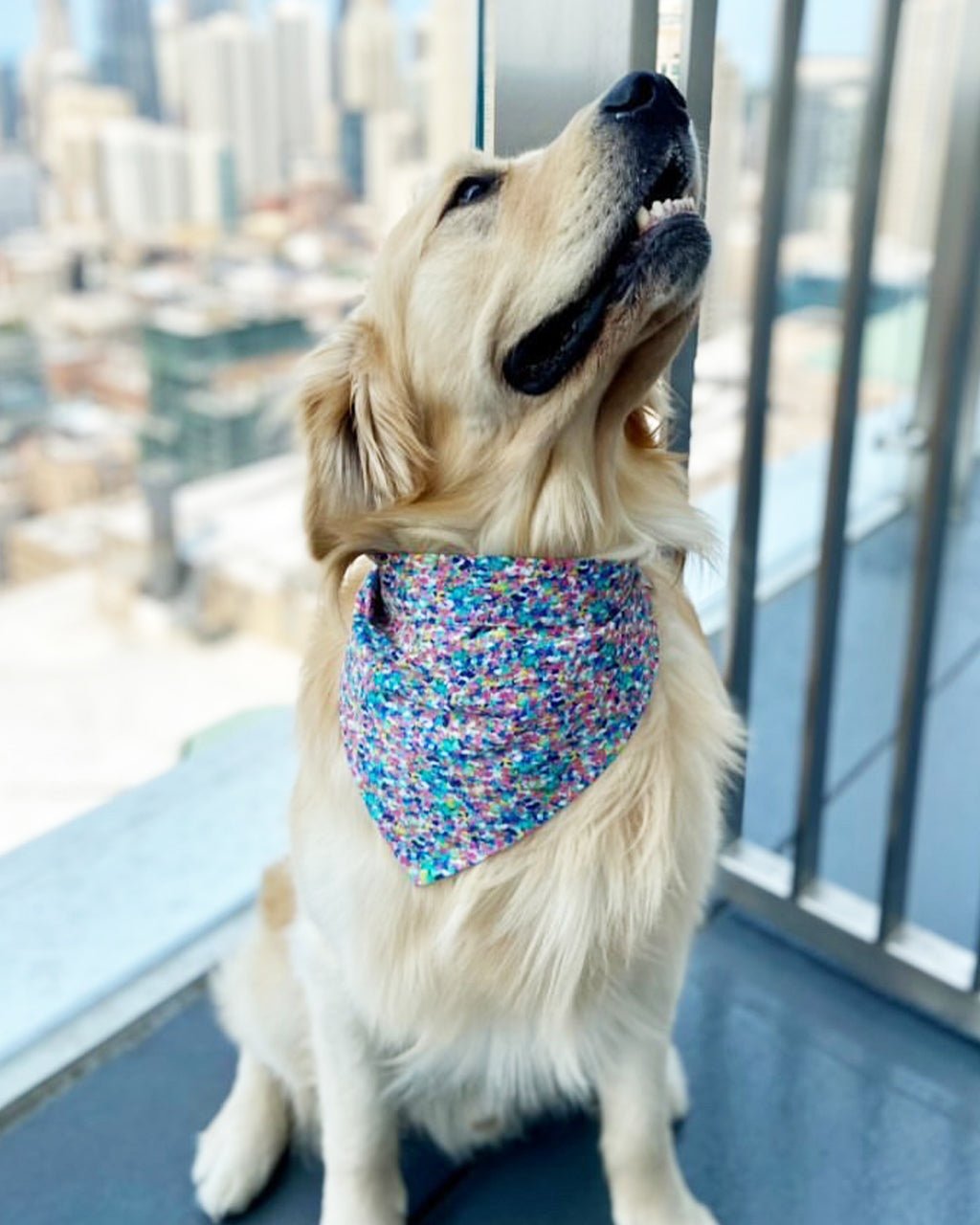 Party Dog Bandana – Bandanas & Neckwear by MODERNBEAST