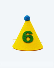 Pawty Hat Dog Party Hat - Green Number – Dog Hats by MODERNBEAST
