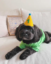 Pawty Hat Dog Party Hat - Green Number – Dog Hats by MODERNBEAST