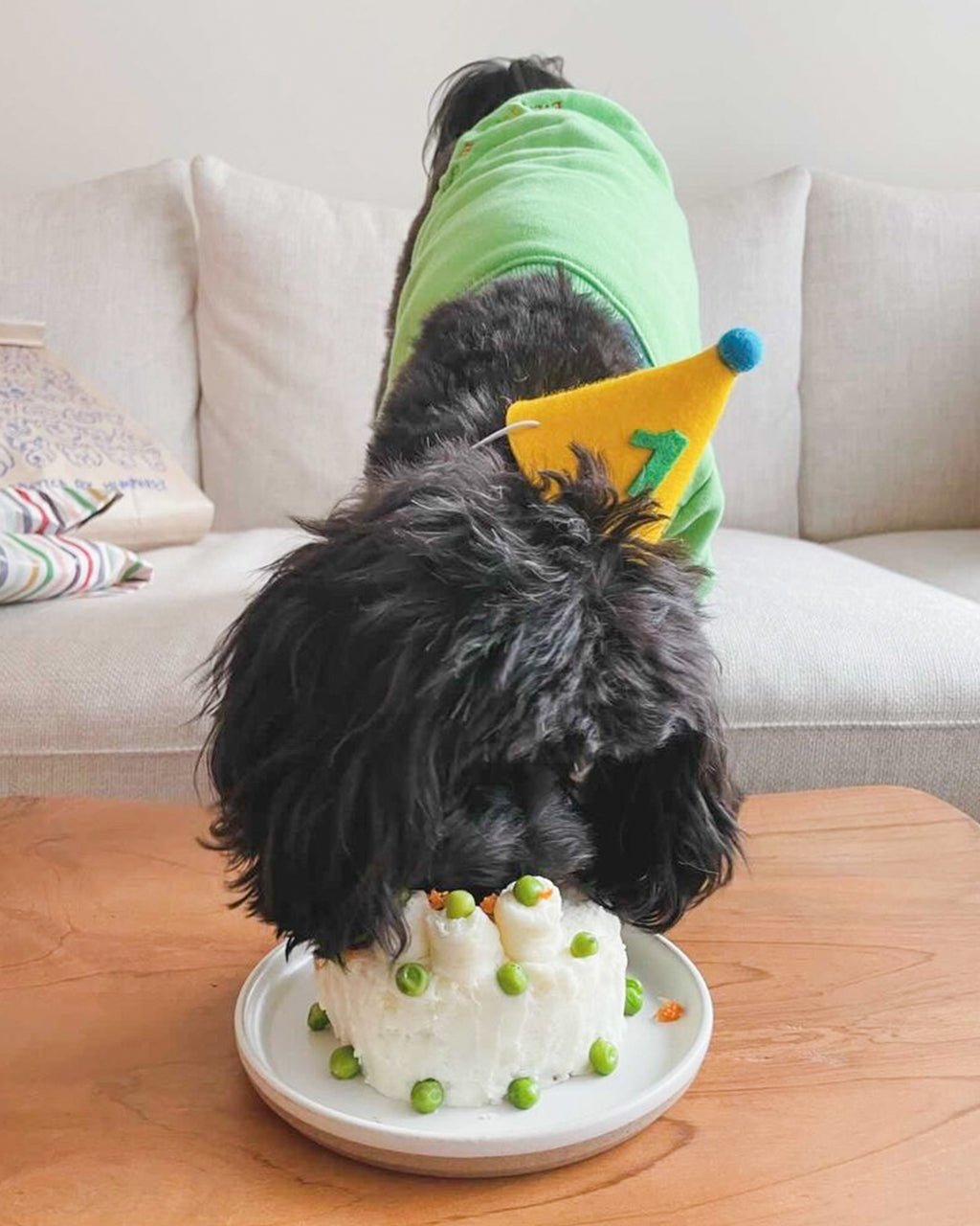 Pawty Hat Dog Party Hat - Green Number – Dog Hats by MODERNBEAST