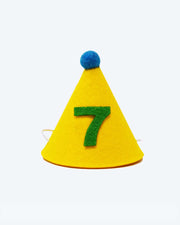 Pawty Hat Dog Party Hat - Green Number – Dog Hats by MODERNBEAST