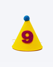 Pawty Hat Dog Party Hat - Purple Number – Dog Hats by MODERNBEAST