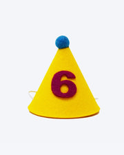 Pawty Hat Dog Party Hat - Purple Number – Dog Hats by MODERNBEAST