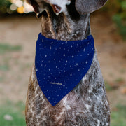 Peanuts Astronaut Linus Security Blanket Dog Bandana – Bandanas & Neckwear by Buckle - Down
