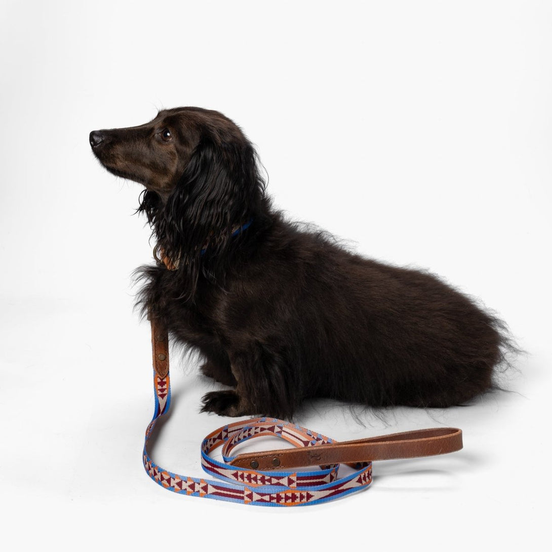Pendleton Heritage Dog Leash – Dog Leashes by Pendleton
