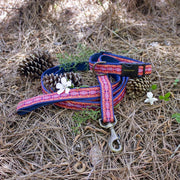 Pendleton Hiker Dog Collar – Dog Collars by Pendleton