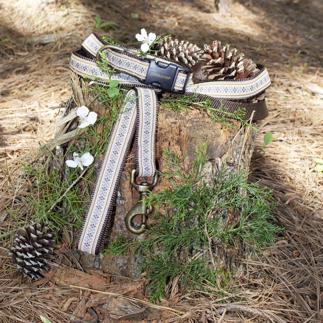 Pendleton Hiker Dog Collar – Dog Collars by Pendleton