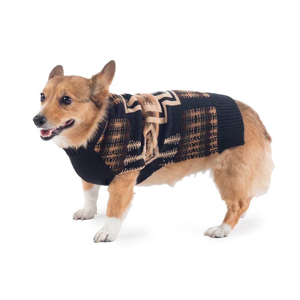 Pendleton Knit Dog Sweater – Sweaters & Hoodies by Pendleton