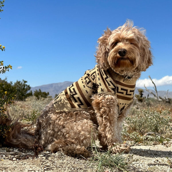 Pendleton Knit Dog Sweater